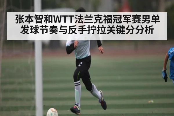 张本智和WTT法兰克福冠军赛男单发球节奏与反手拧拉关键分分析